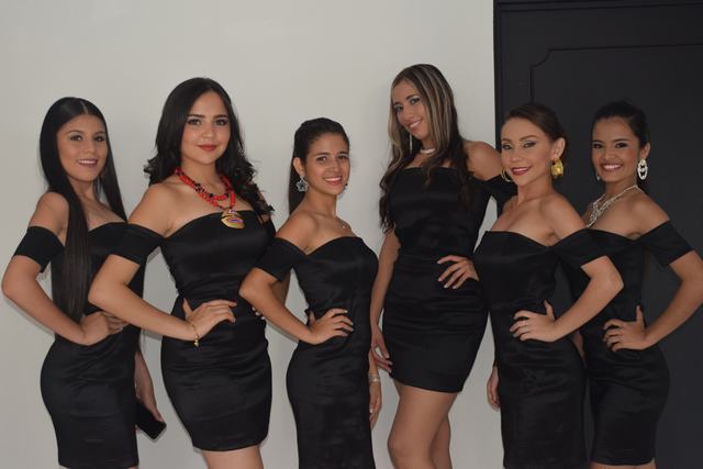 Nicol Fandillo, Colegio Gimnasio Moderno, Luisa María Reyes, Colegio Normal Superior de Pitalito; Paula Andrea García Cerón, Colegio Claretiano; Dayana Ordoñez; IE Sósimo Suárez de Gigante;  Angie Marcela Lozano Sánchez, Colegio Tómas Cipriano de Mosquera, Maira Alejandra Chávarro, Organización Educativa Teaching Training and Testing Services S.A.S.